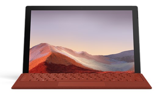 麻山清洁和维护 Surface